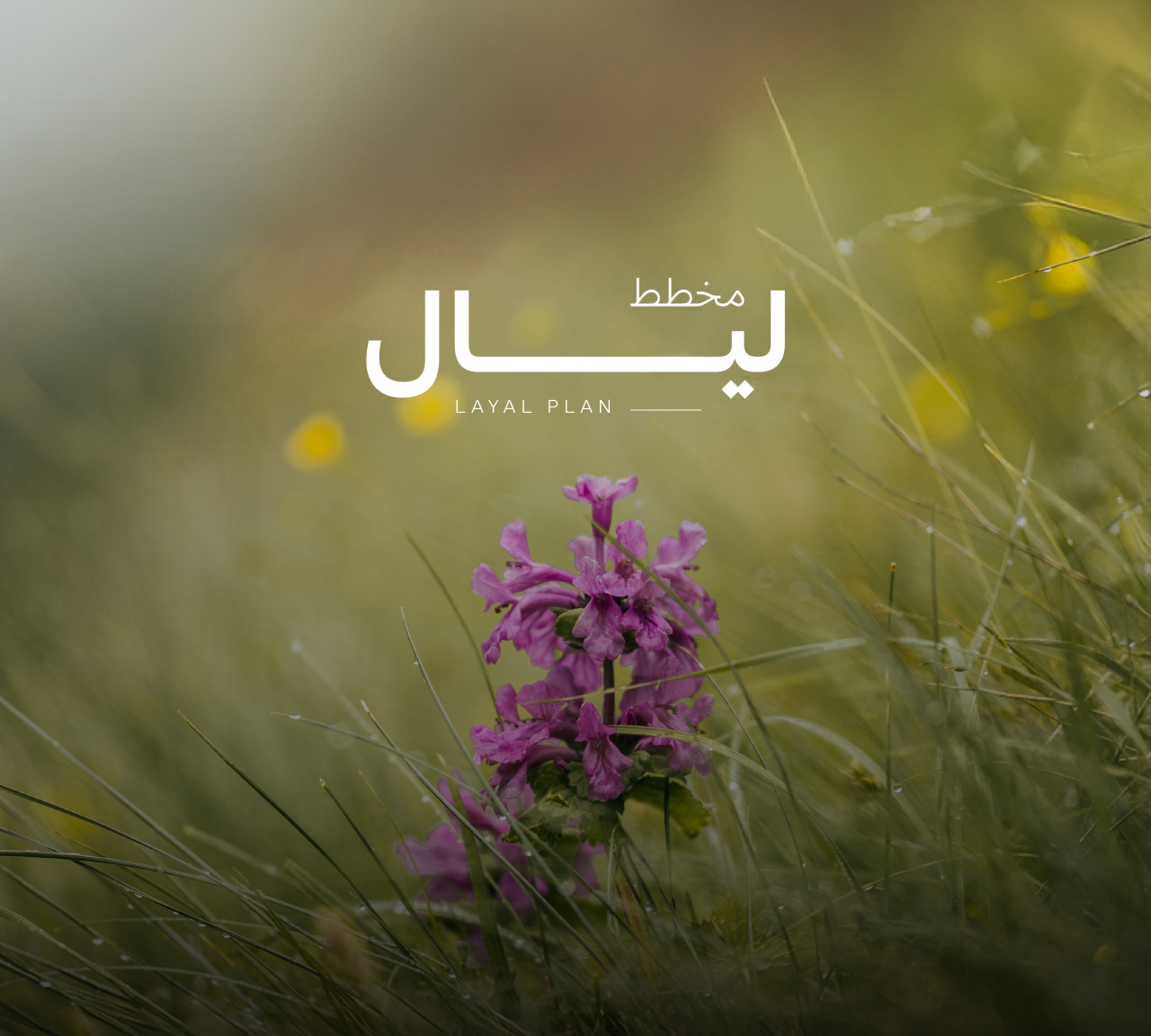 Land Planning For Sale In Malkiya - 532