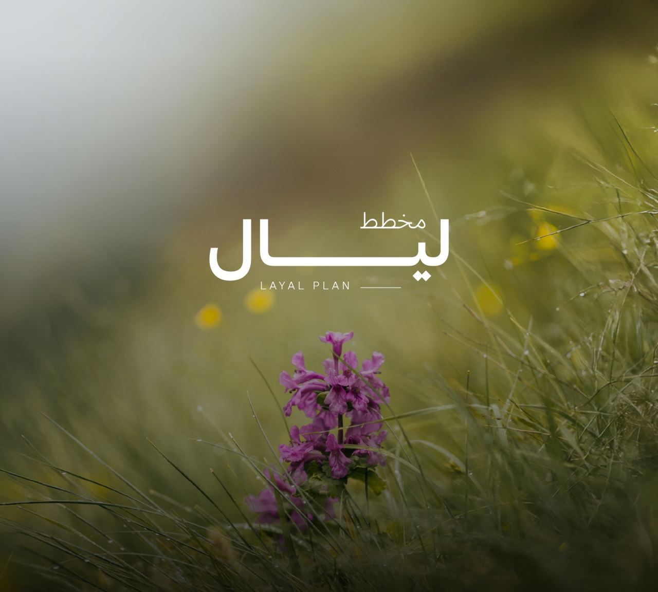  Land Planning For Sale In Malkiya - 532