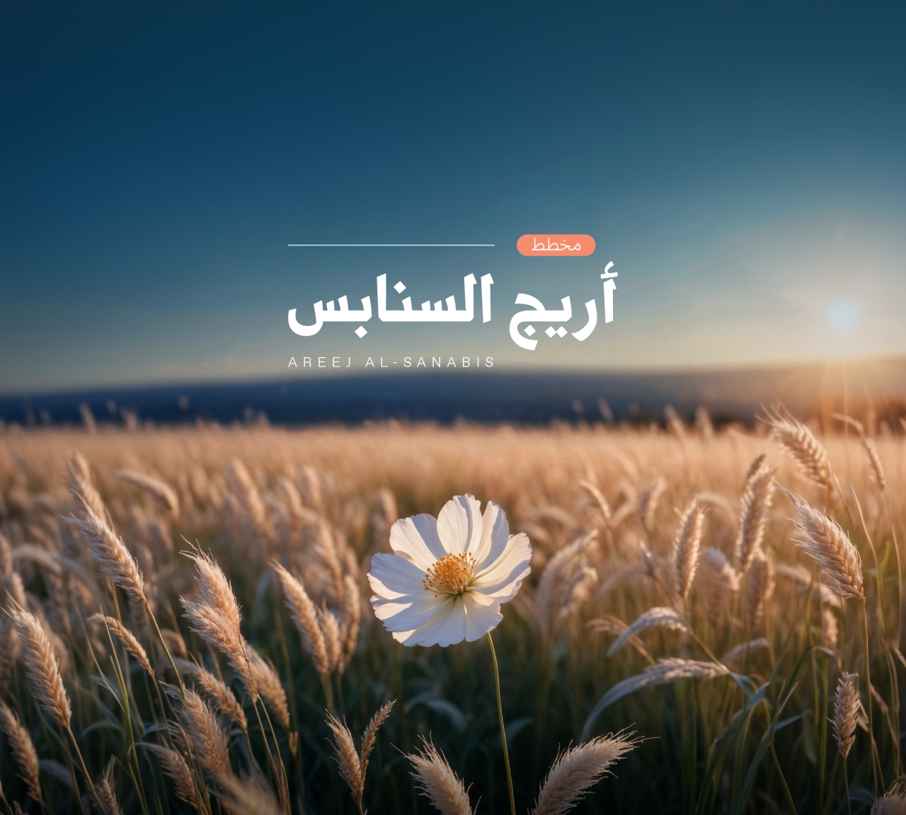  Land Planning For Sale In Sanabis - 1307